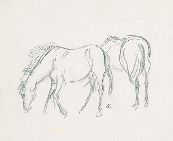 Jaroslav Vodrážka – Kone 