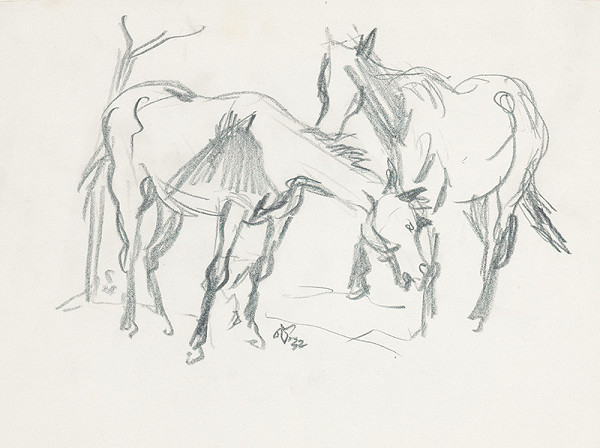 Jaroslav Vodrážka – Kone 