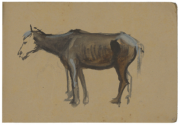 Margita Czóbelová – Štúdia koňa  