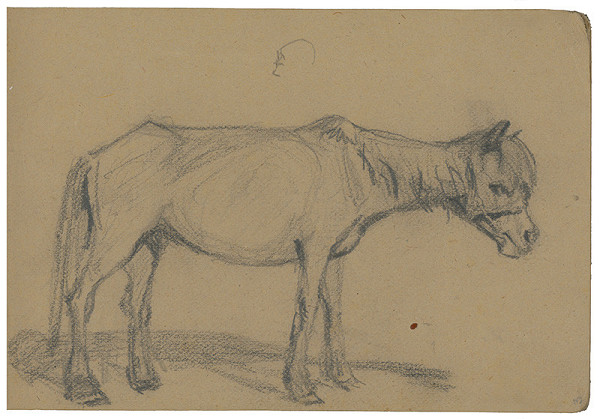 Margita Czóbelová – Náčrt koňa  