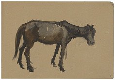 Margita Czóbelová – Náčrt koňa II.  