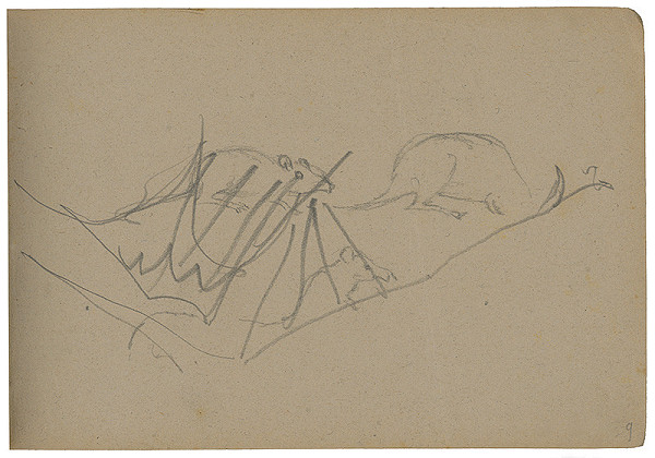 Margita Czóbelová – Náčrt troch myší  