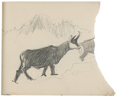 Margita Czóbelová – Náčrt kamzíkov  