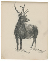 Margita Czóbelová – Náčrt soba  