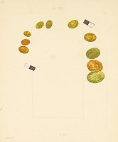 Albín Brunovský – O buku čo vedel rozprávať, Peniaze 