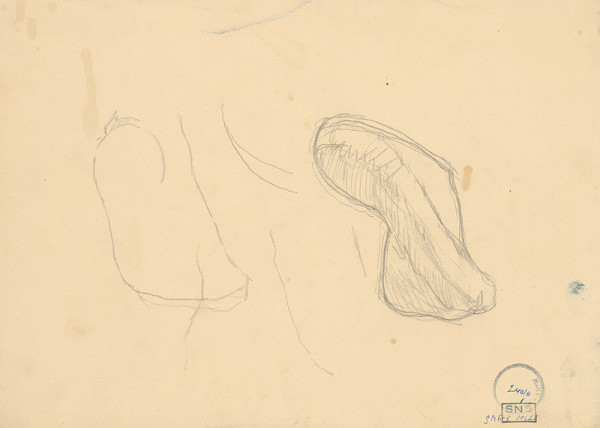 Ladislav Mednyánszky – Figurálne štúdie 434 