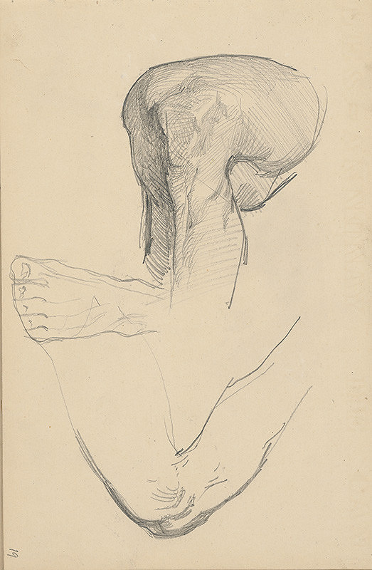 Ladislav Mednyánszky – Štúdie nohy a chodidla  