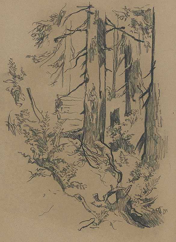 Jaroslav Vodrážka – Detail z ihličnatého lesa