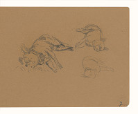 Maximilián Schurmann – Spiaci pes 