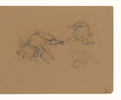 Maximilián Schurmann – Spiaci pes 