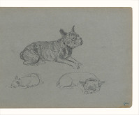 Maximilián Schurmann – Štúdie psa 