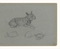 Maximilián Schurmann – Štúdie psa 