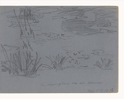 Maximilián Schurmann – Lekná v záhrade Claude Moneta 