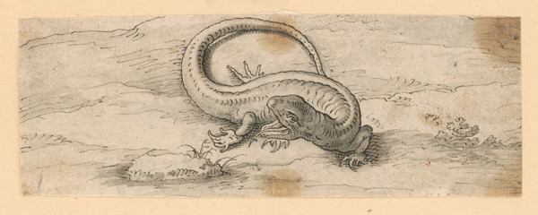 Taliansky majster zo 17. storočia – Jašterica