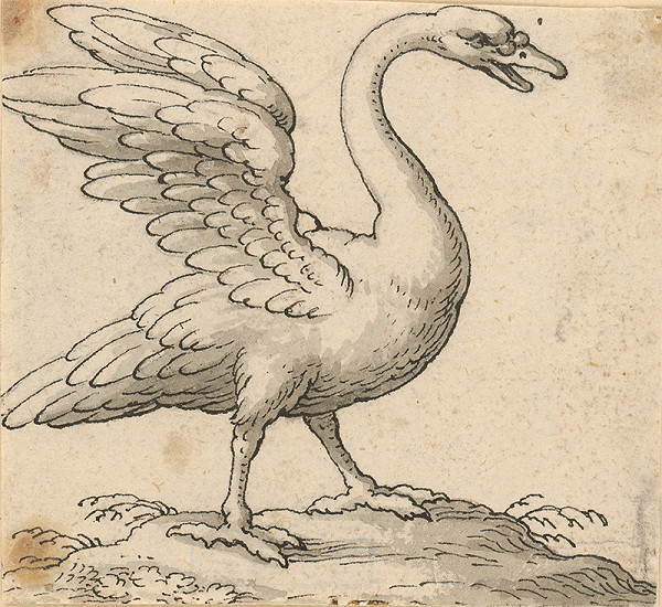 Taliansky majster zo 17. storočia – Stojaca Labuť