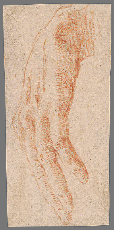 Stredoeurópsky majster z 18. storočia – Štúdia voľne zvesenej ruky