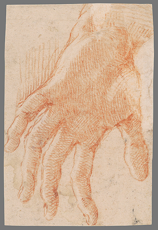 Stredoeurópsky majster z 18. storočia – Štúdia ľavej ruky