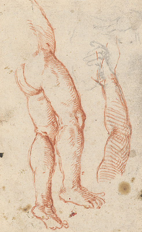 Stredoeurópsky maliar z 18. storočia – Anatomická štúdia 