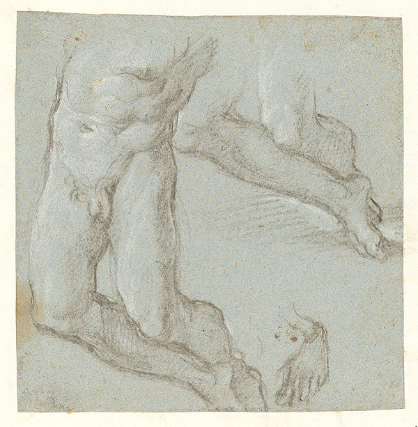 Stredoeurópsky maliar zo 17. storočia – Štúdia mužského aktu - Torzo 