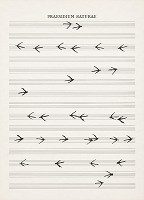 Dezider Tóth – Partitúra XLVIII. Praesidium naturae 