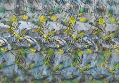 Štefan Schwartz – Z.9602 Imbroglio VII. 