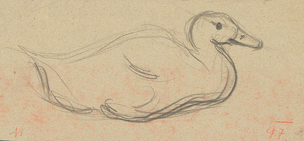 Milan Thomka Mitrovský – Štúdia sediacej kačice 