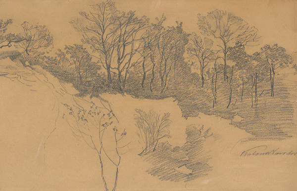 Ferdinand Katona – Krajina so stromami 