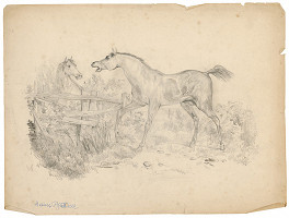 Helene Büttner – Kone I. 