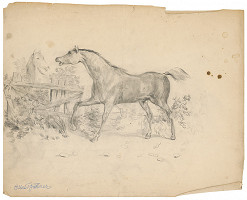 Helene Büttner – Kone II. 