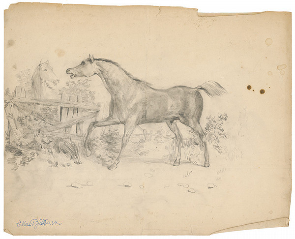 Helene Büttner – Kone II. 