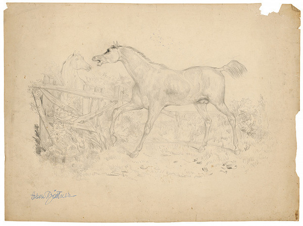 Helene Büttner – Kone IV. 