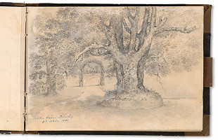 Viktor Odescalchi – Záhrada v Hirtenbergu 