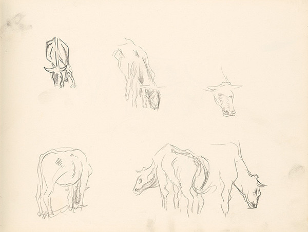 Ján Novák – Štúdie pasúcich sa kráv 