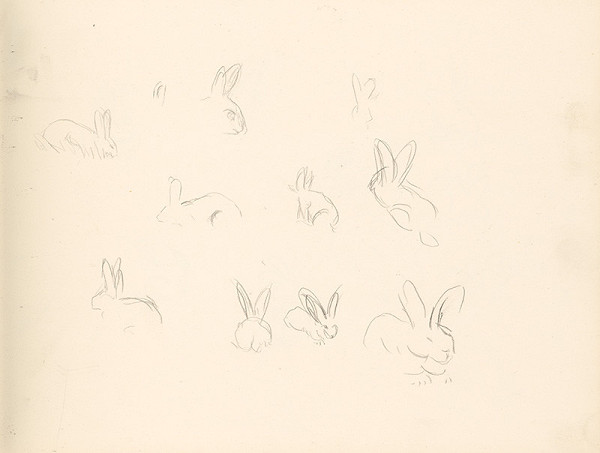 Ján Novák – Štúdie zajacov 