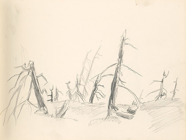 Ján Novák – Suché stromy a vývrate 