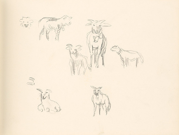 Ján Novák – Štúdie oviec 