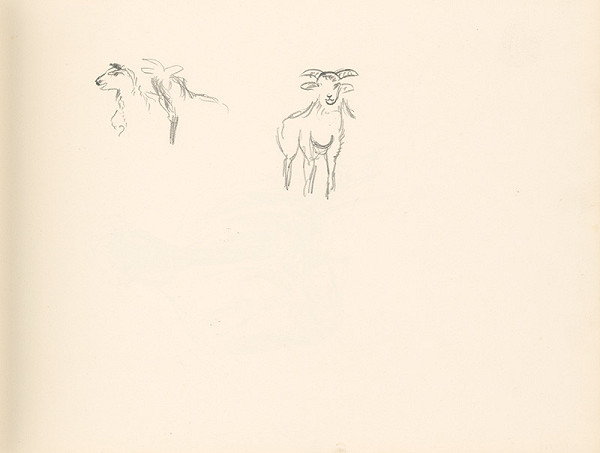 Ján Novák – Štúdie oviec 