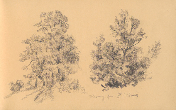 Ján Novák – Stromy pri H. Bôrovej
