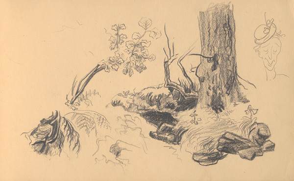 Ján Novák – Dreviny pri potoku 