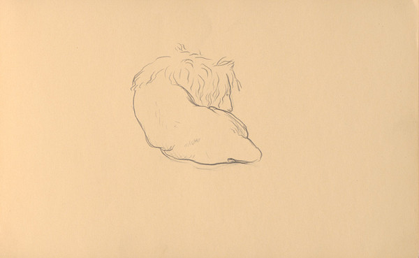 Ján Novák – Štúdia odpočívajúceho leva  