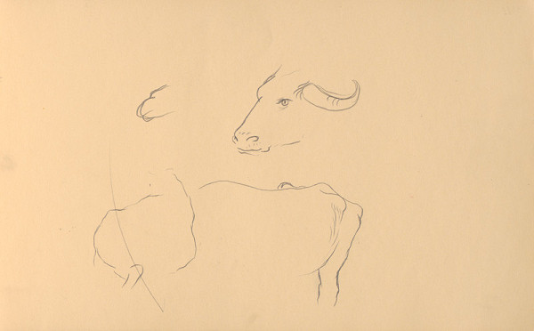 Ján Novák – Štúdie dobytka  