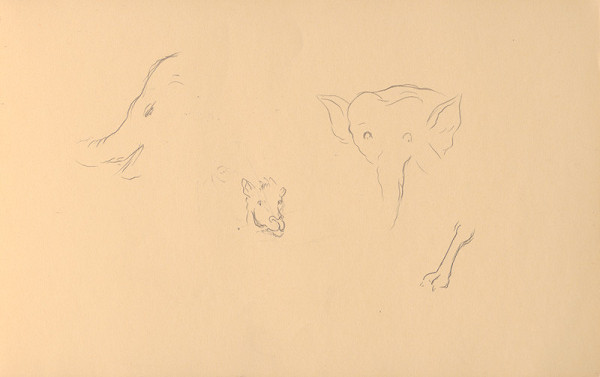 Ján Novák – Štúdie zvierat (slony) 