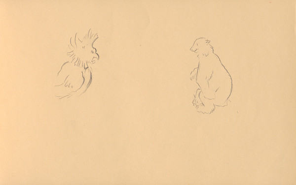 Ján Novák – Štúdie zvierat (medveď a kakadu) 