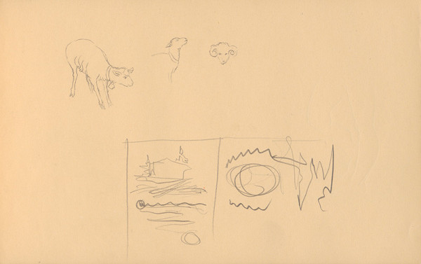 Ján Novák – Štúdie zvierat (ovce) 