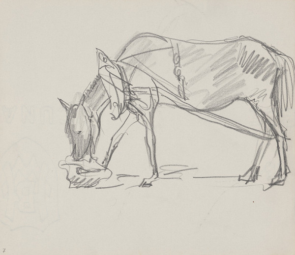 Arnold Peter Weisz-Kubínčan – Skicár 14 Kôň pri kŕmení