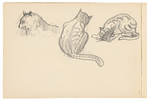 Arnold Peter Weisz-Kubínčan – Skicár 19 Skice mačiek 