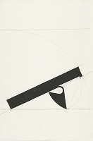 Emil Drličiak – Black Rosaessay  