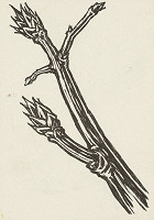 Emil Drličiak – Malé kresby I. 