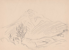 Arnold Peter Weisz-Kubínčan – Štít 