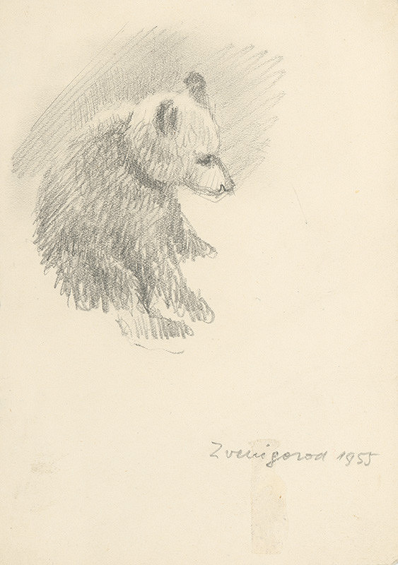 Ľudovít Ilečko – Medvedie mláďa